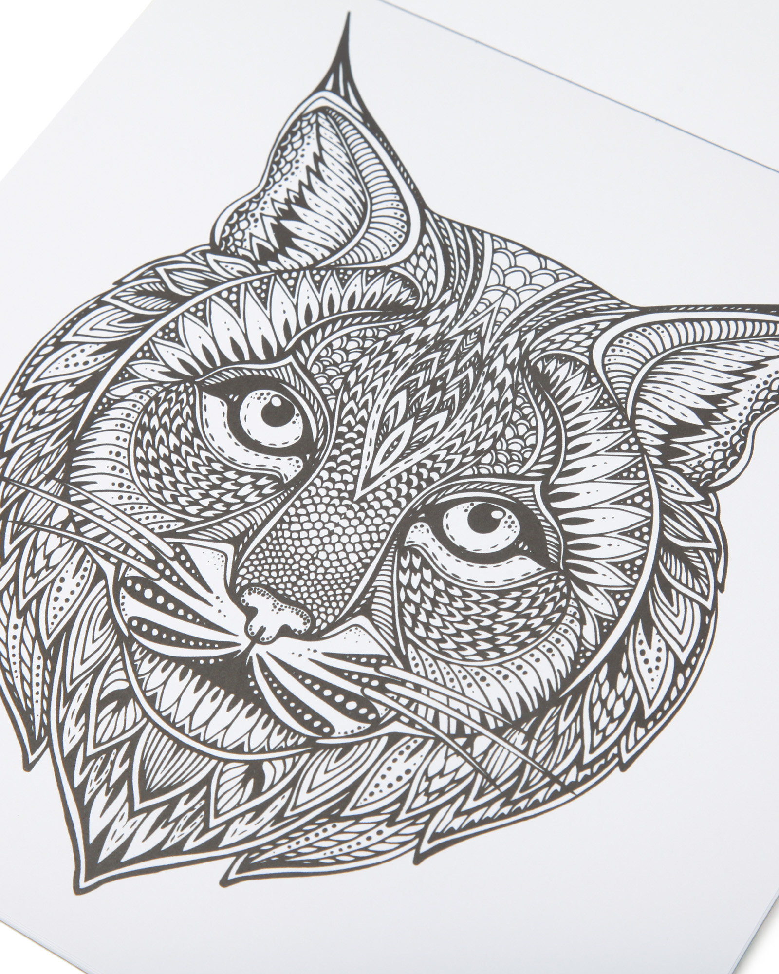 Раскраска Attivio Животный мир антистресс 24 листа - фото 4