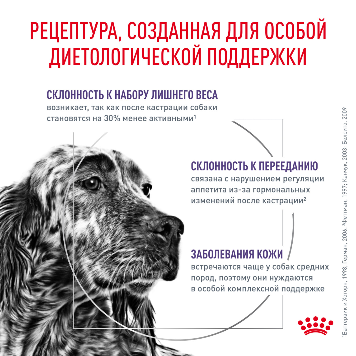 Корм для собак ROYAL CANIN Ньютрид Эдалт Медиум Догз 9кг - фото 2