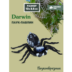 Фигурка DARWIN Паук павлин