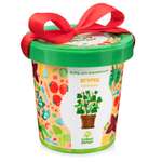Набор для выращивания Happy Plant