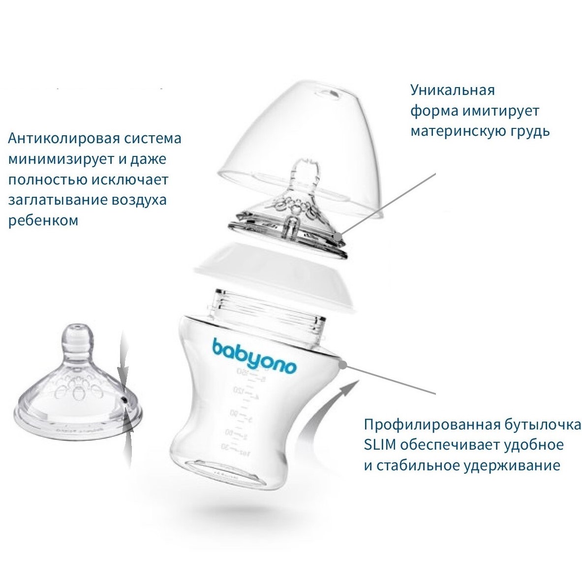 Бутылочка Babyono Natural 180 мл 1 шт. в ассортименте - фото 5