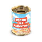 Копилка SHPROTOV.NET Коплю на каникулы