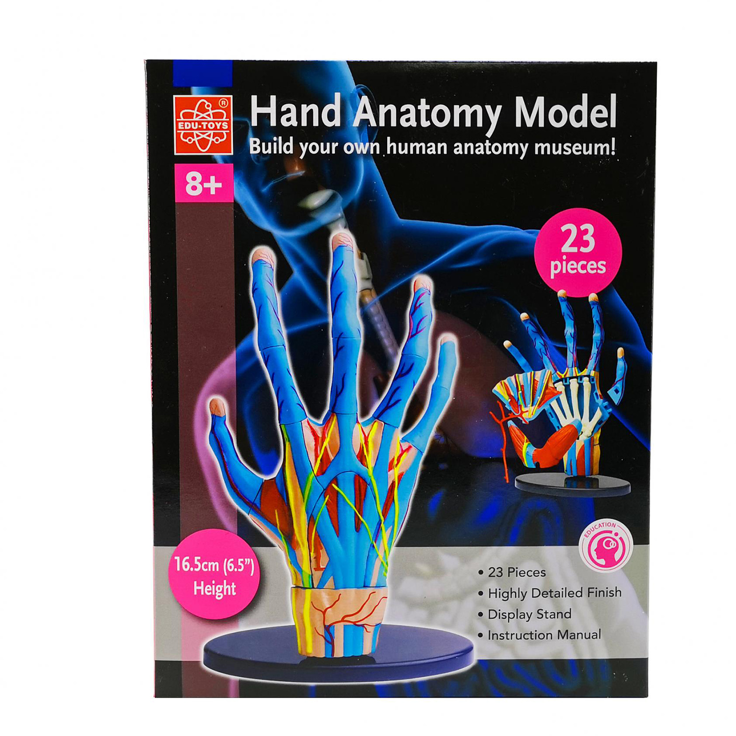 Наглядное пособие EDU-TOYS - фото 2