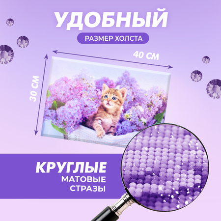 Алмазная мозаика Solmax Лавандовый котенок
