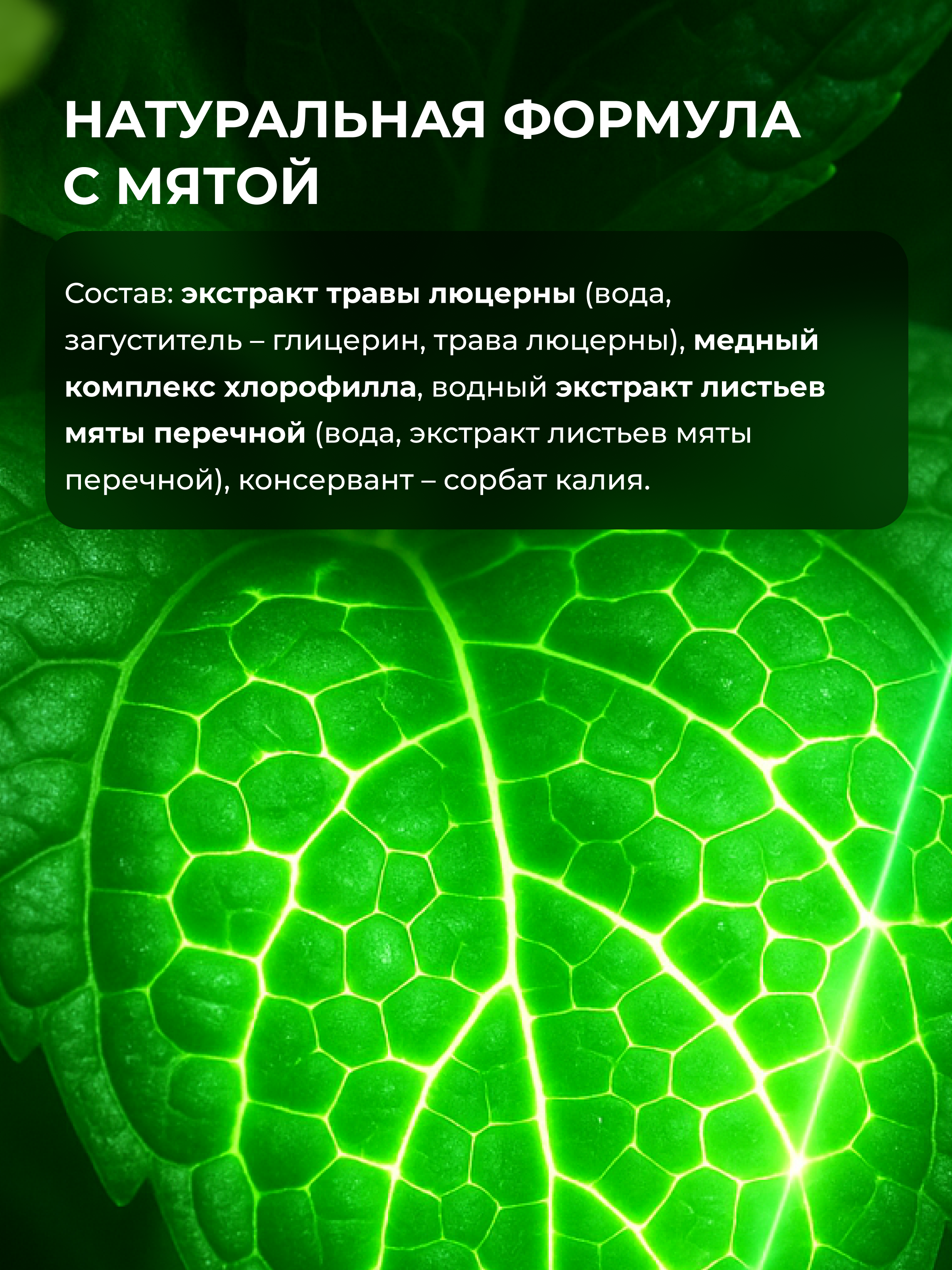 Жидкий концентрат ENBIO Хлорофилл - фото 3