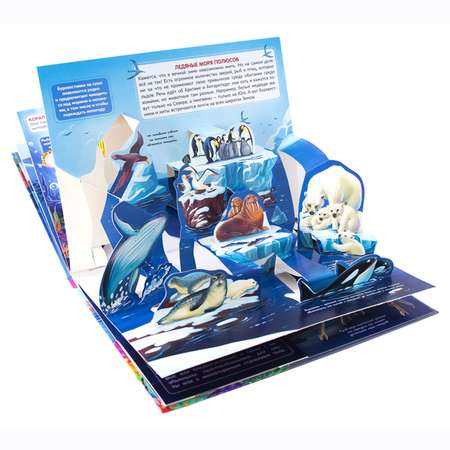 Энциклопедия-панорамка 3D Malamalama Море Книжка-панорамка