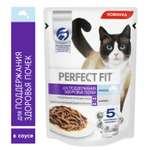 Корм для кошек PerfectFit 75г для поддержания здоровья почек с лососем в соусе