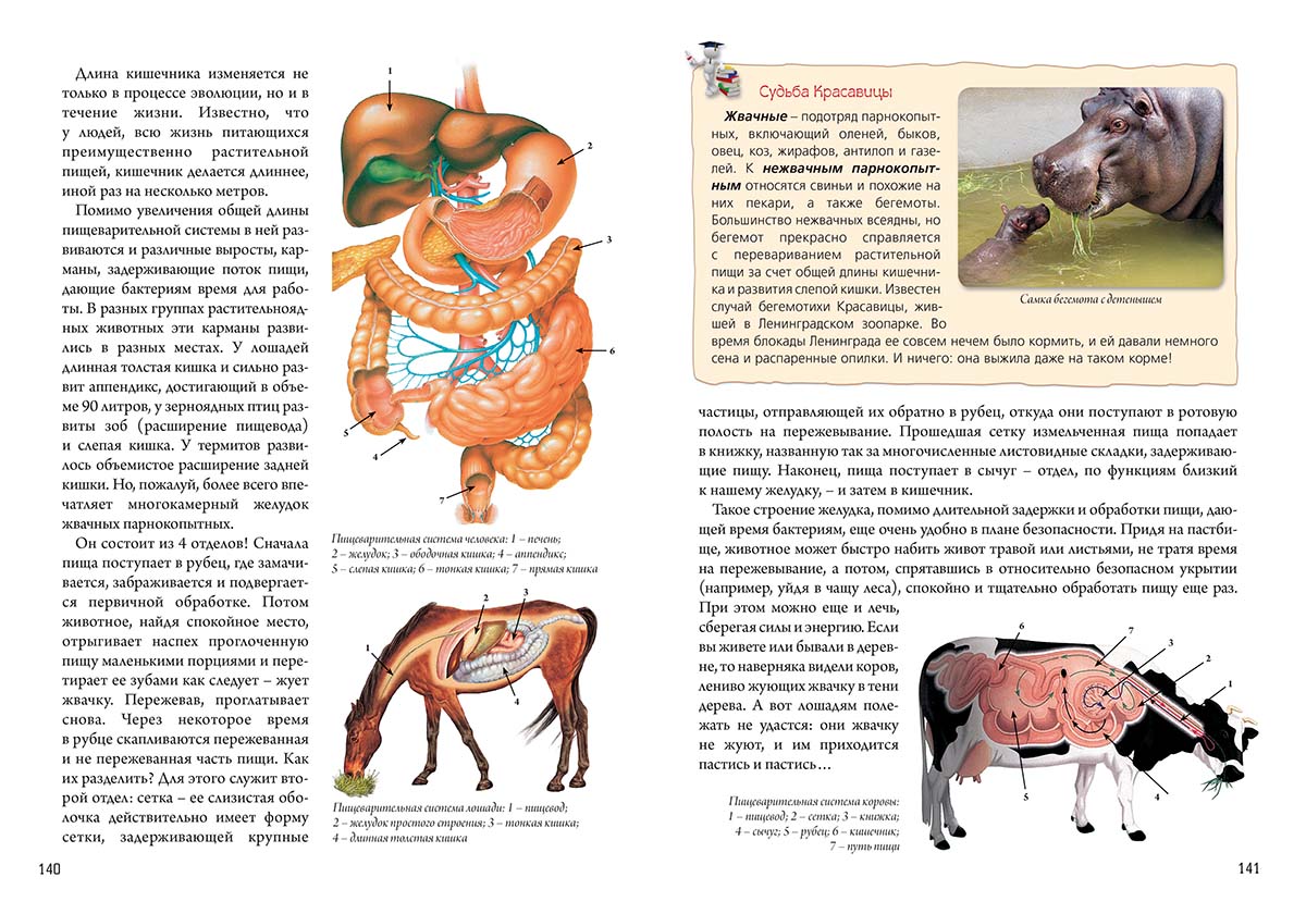 Книга Белый город Нескучная биология с задачами и решениями - фото 5