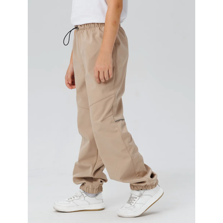 Брюки Lemonwear