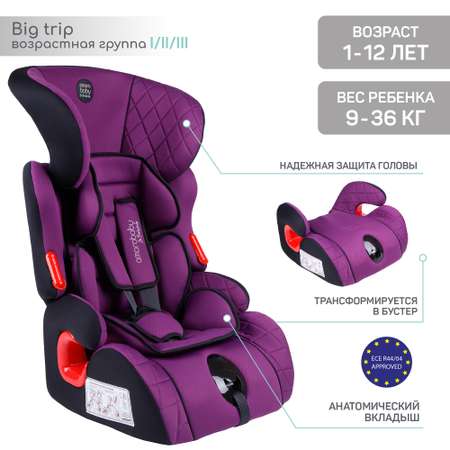 Автокресло Amarobaby 1/2/3 (9-36 кг)