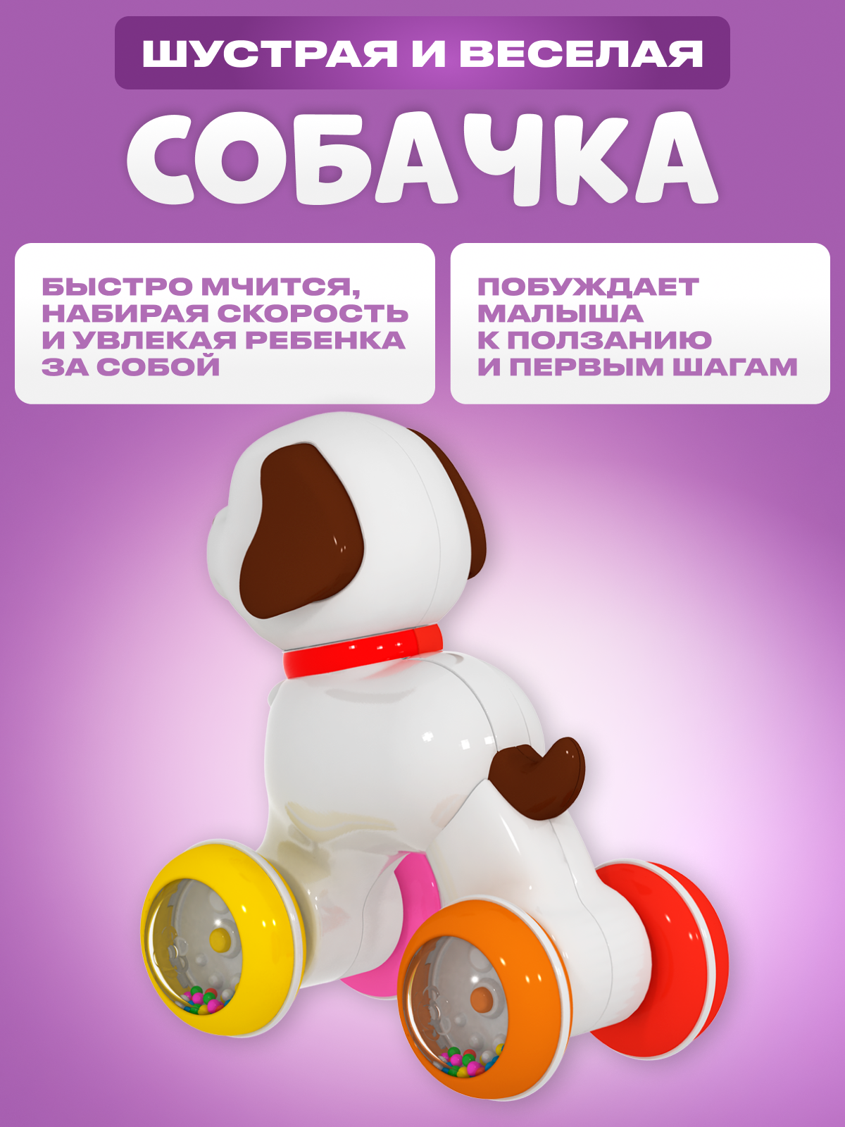 Игрушка STELLAR каталка Игрушка-покатушка - фото 3