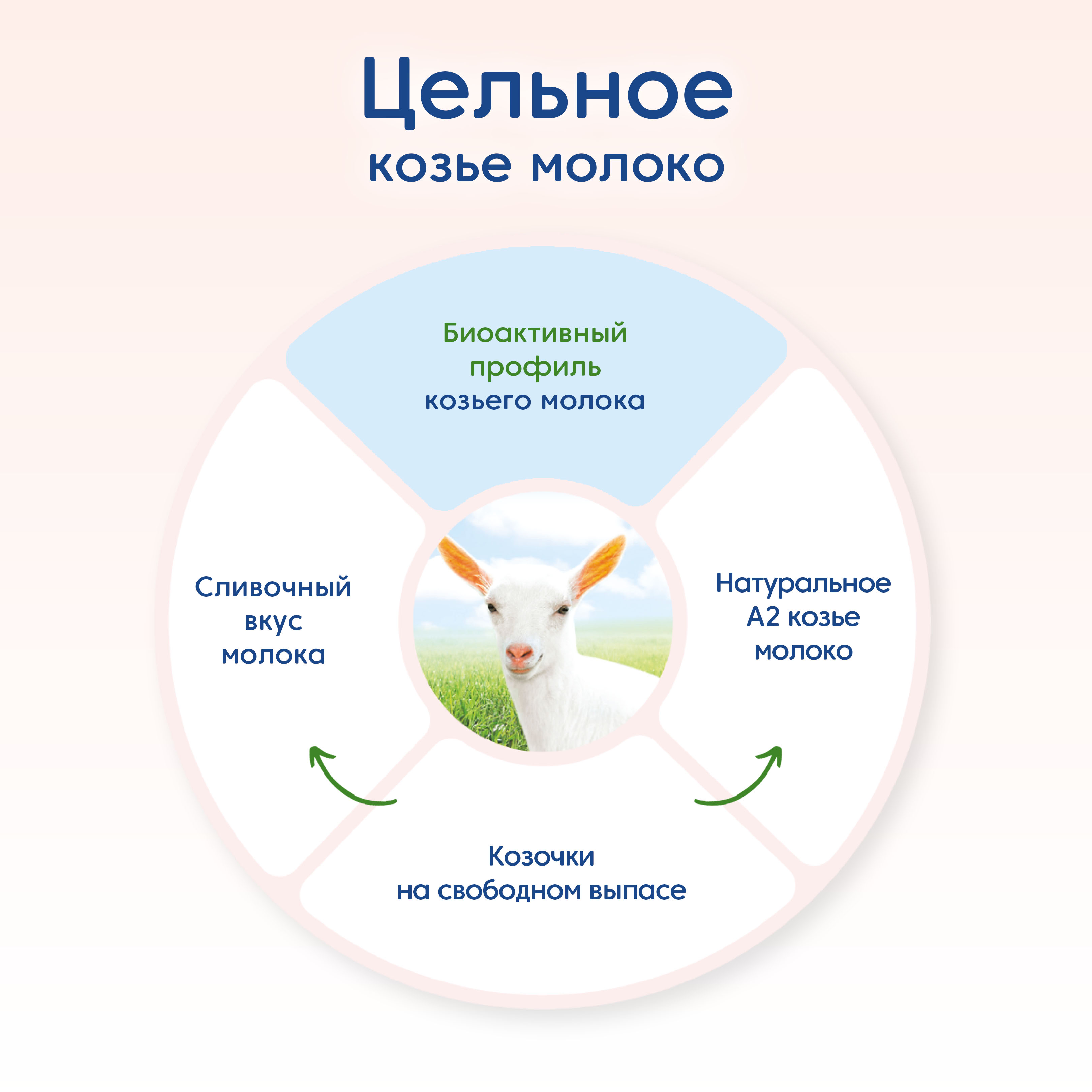 Смесь Мамако 1 Premium на козьем молоке 800г с 0месяцев - фото 3