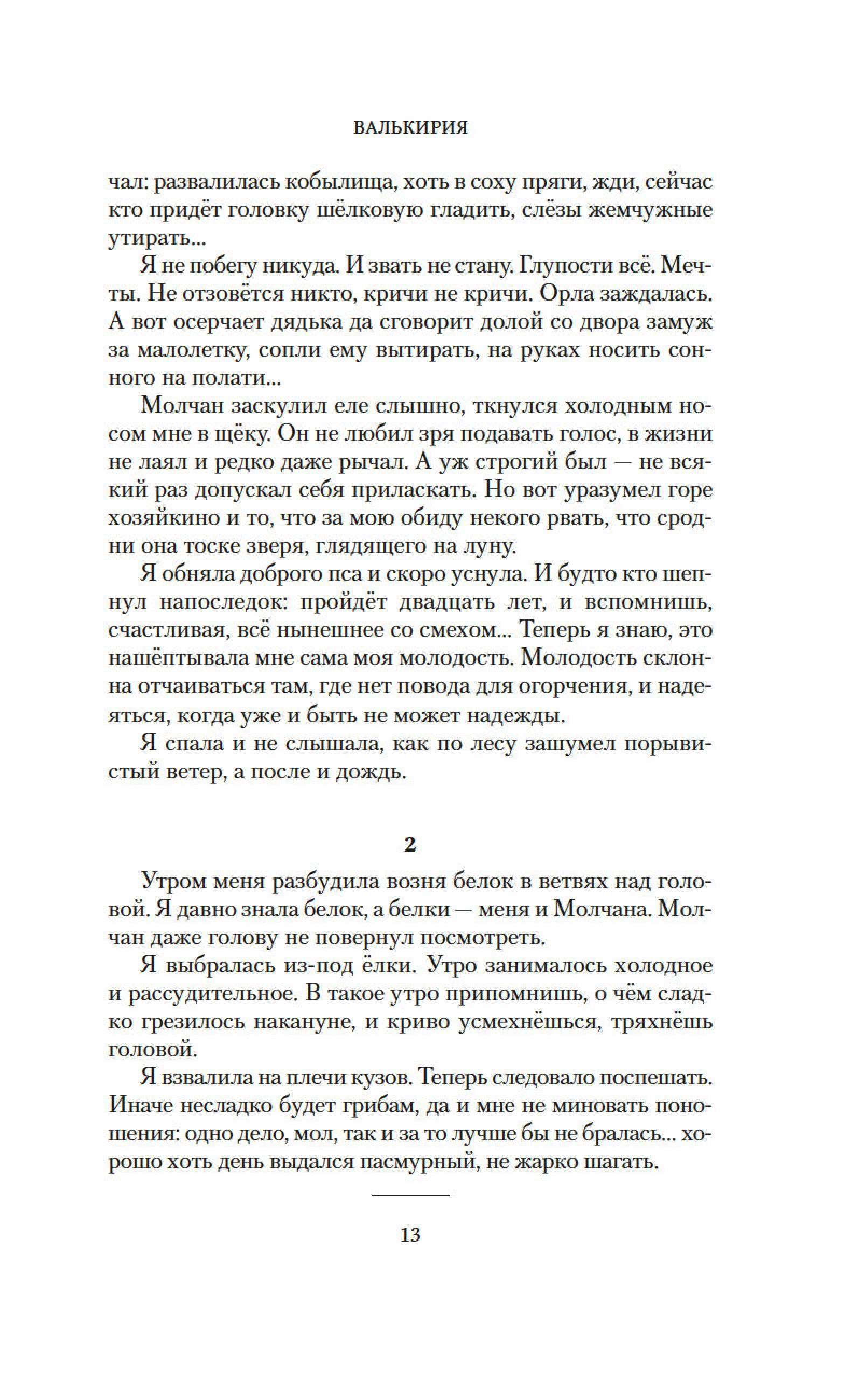 Книга АЗБУКА Валькирия. Тот, кого я всегда жду - фото 15