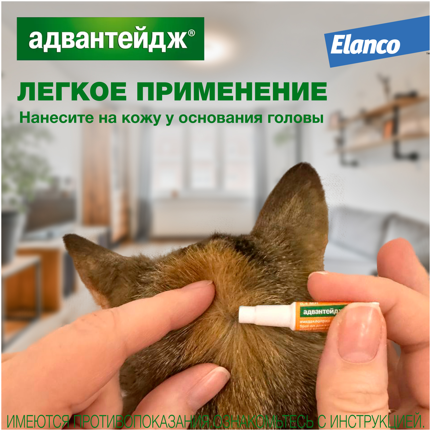 Капли для кошек Elanco Адвантейдж против блох 1пипетка - фото 9