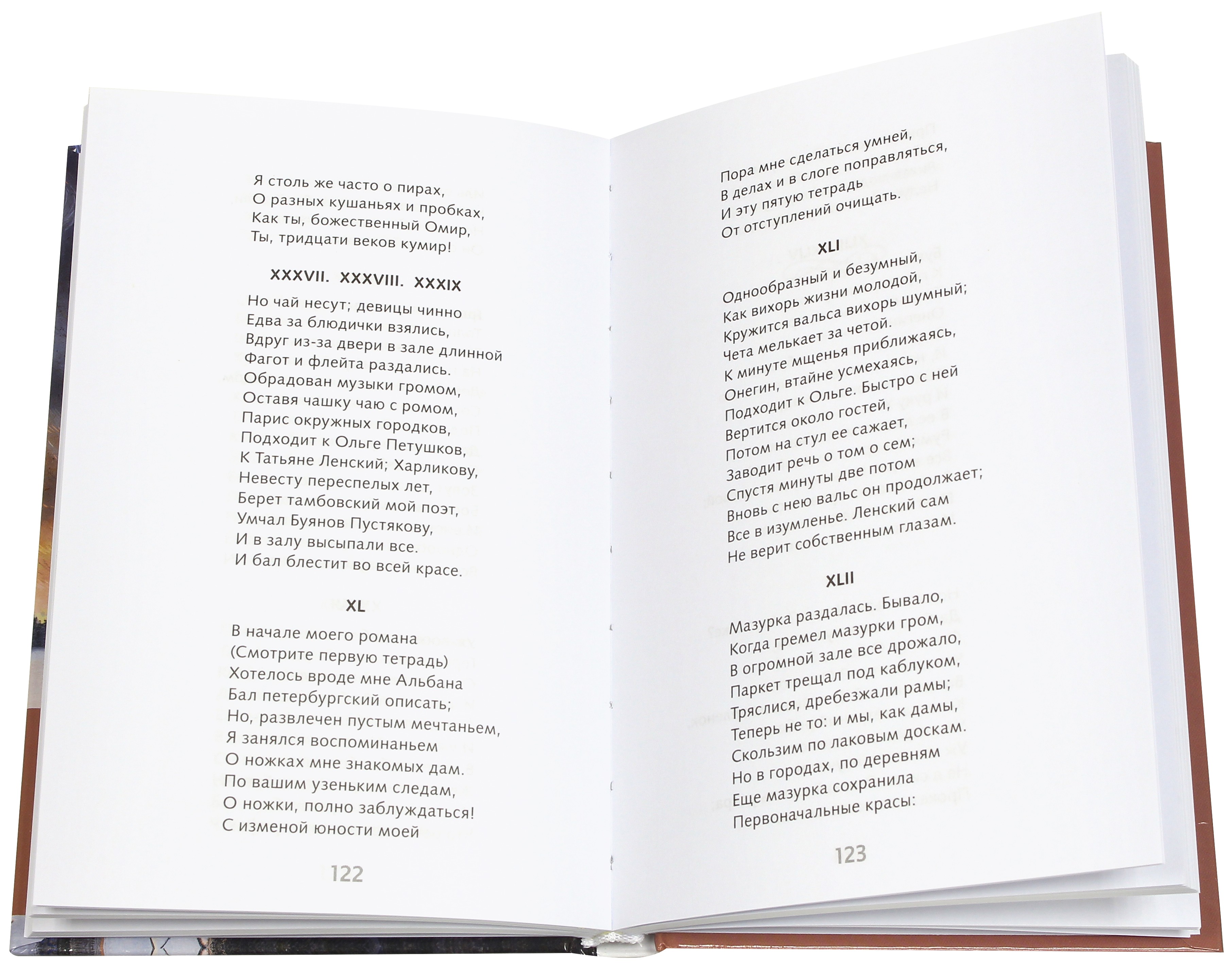 Книга Стрекозa Евгений Онегин - фото 2