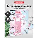 Общая тетрадь Brauberg клетка 80 лист.