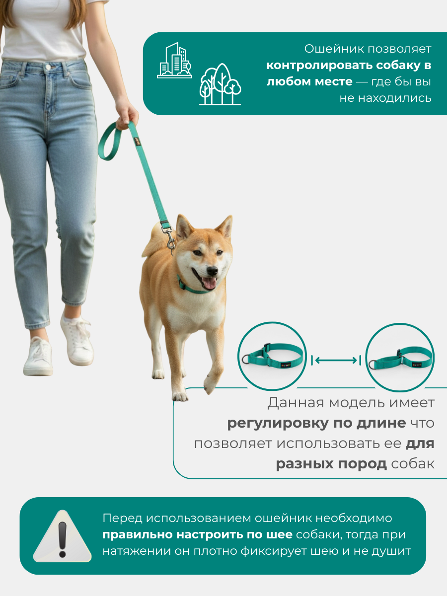 Ошейник для собак Easy Pets 5003 Martingale зеленый р-р M 30-50см - фото 6