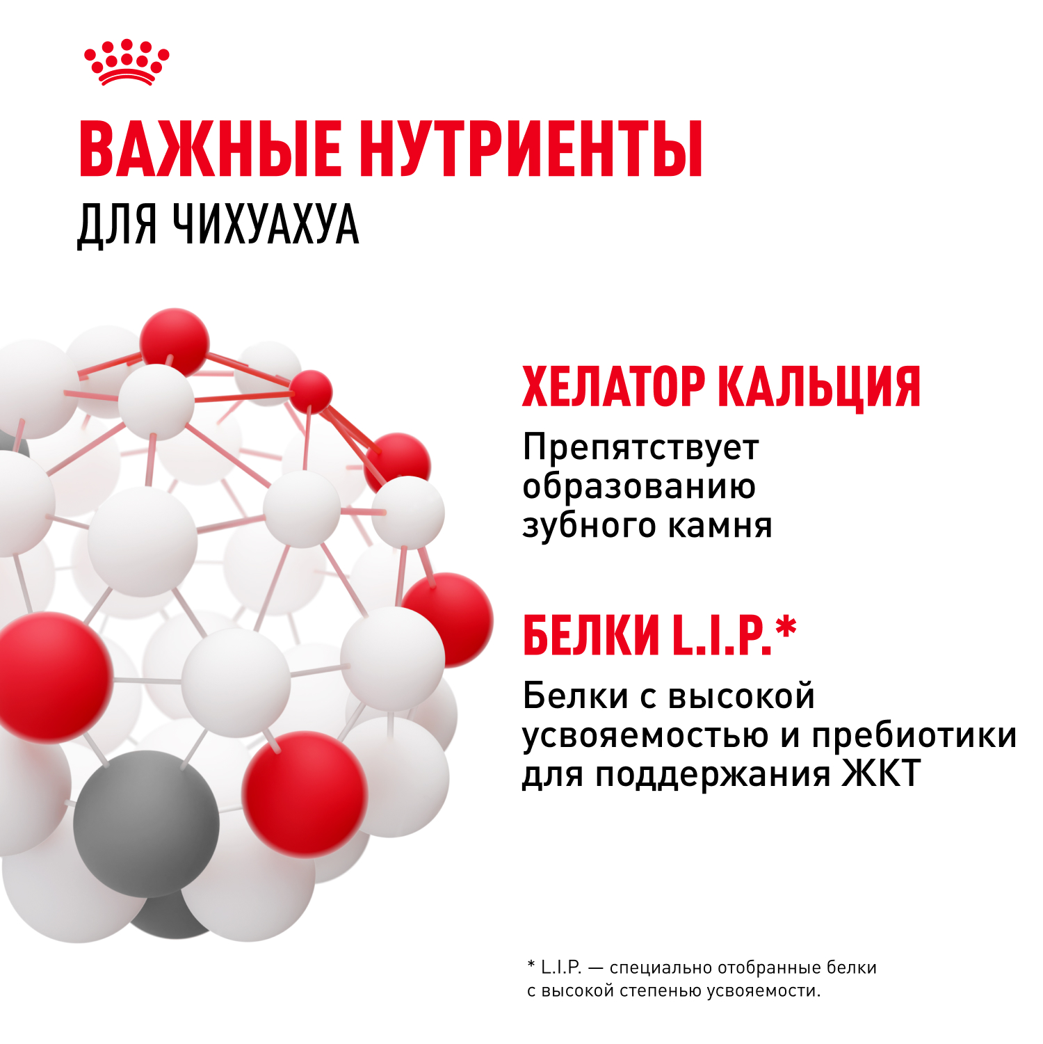 Корм для собак ROYAL CANIN породы чихуахуа 500г - фото 6