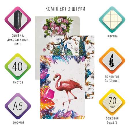 Общая тетрадь Brauberg клетка 40 лист. 3 шт.