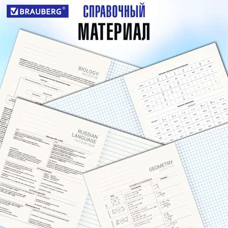 Тетрадь Brauberg 48 лист. 12 шт.