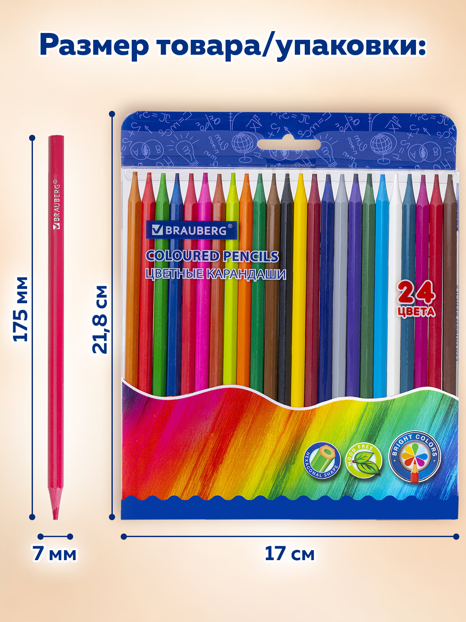 Карандаши цветные Brauberg 24 шт. - фото 6