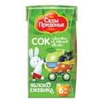 Сок Сады Придонья Яблоко-Ежевика с 6 мес 0.125 л