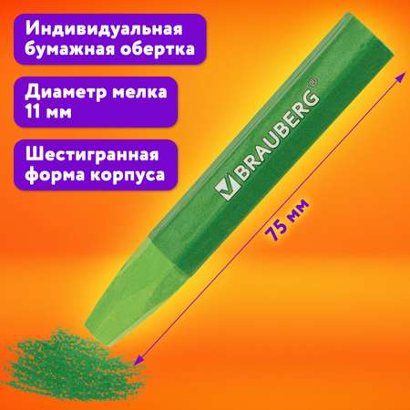 Пастель масляная Brauberg 48 шт.