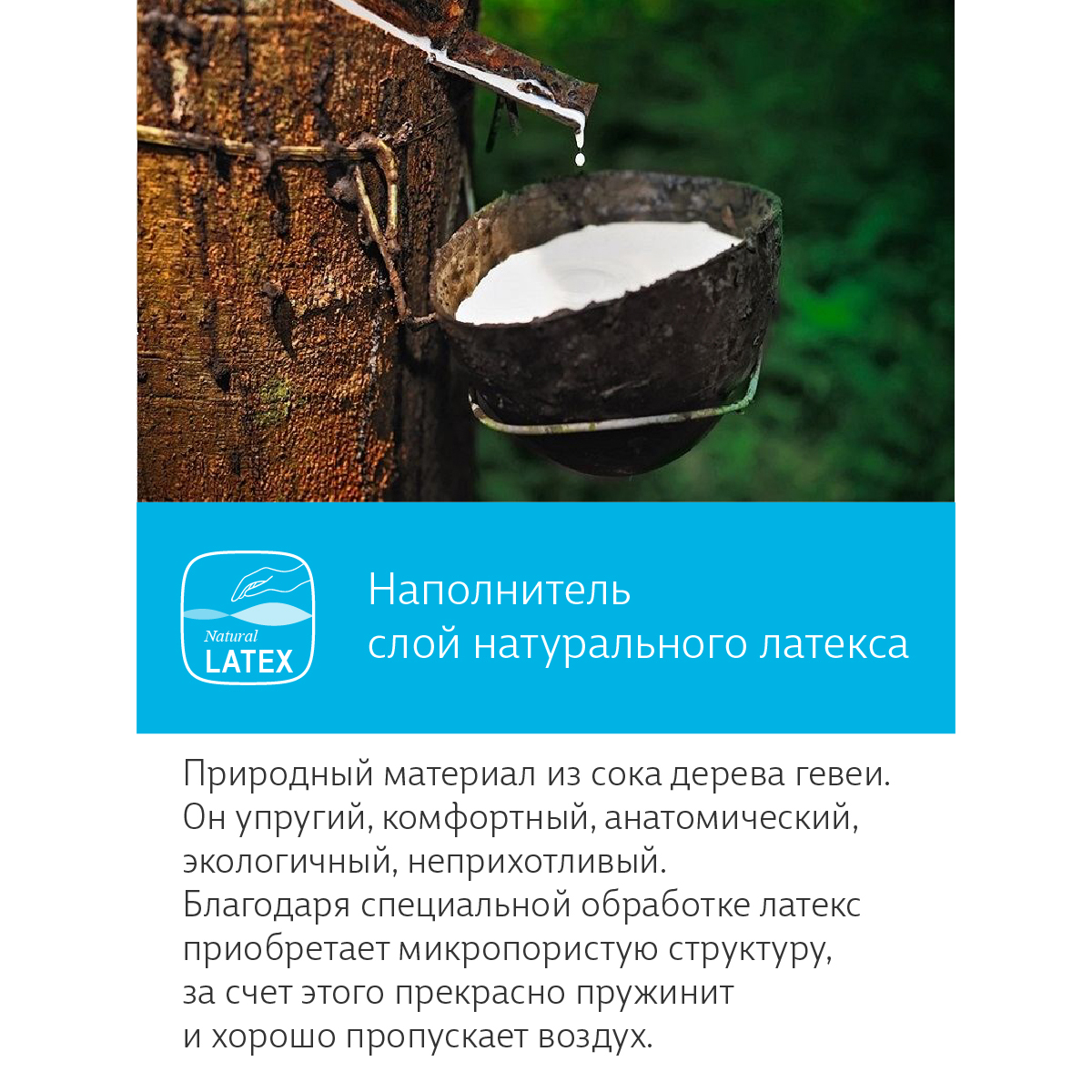 Матрас EcoKinder Tanne 120х60 - фото 15