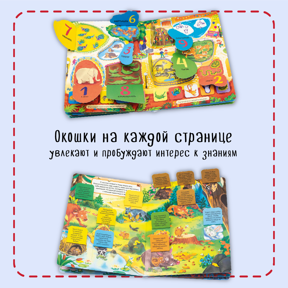 Набор книжек с окошками BimBiMon Для маленьких почемучек 4 шт - фото 4