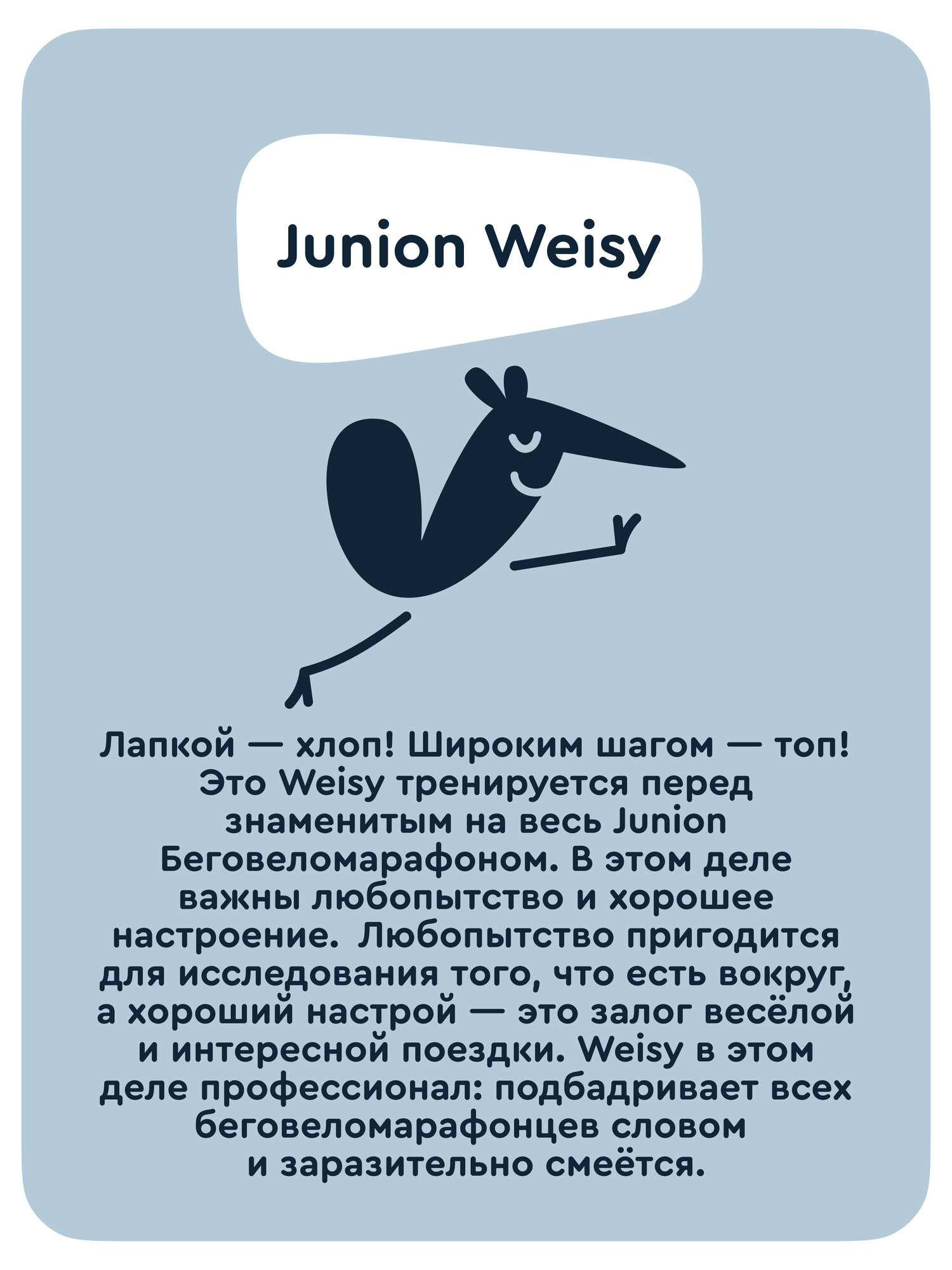 Двухколесный беговел Junion 12 дюймов - фото 14