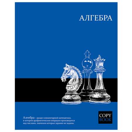 Тетрадь Феникс + 48 лист. (Алгебра)