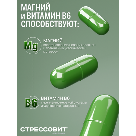 БАД Стрессовит Н 60 капсул
