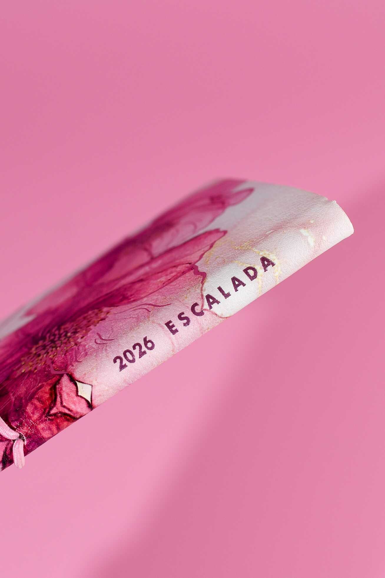 Ежедневник Феникс + ESCALADA 64 лист. - фото 8