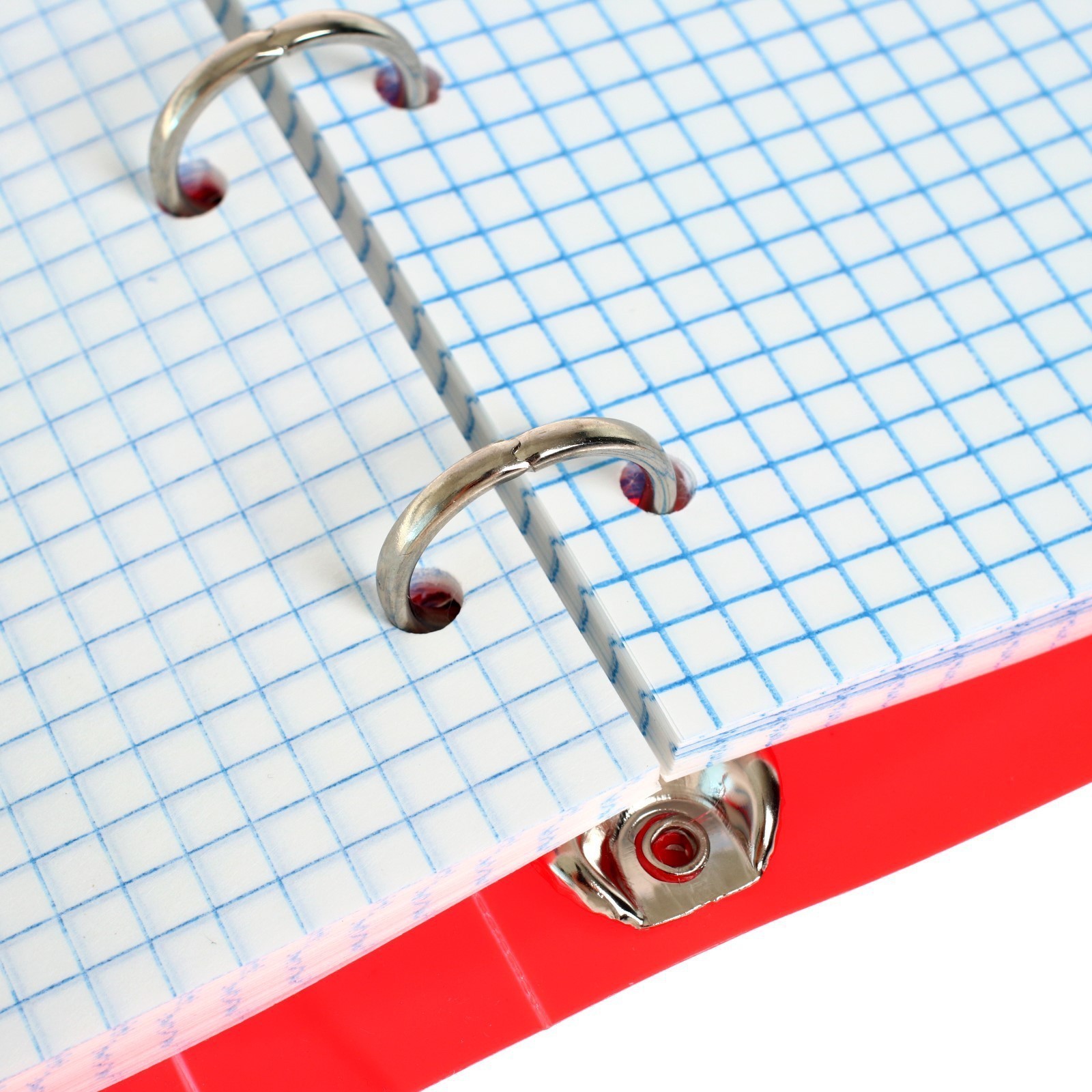 Тетрадь Calligrata клетка - фото 9