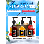 Набор сиропов SPOOM Глинтвейн Манго пряный Персидские специи для кофе 3шт 250мл + 3 дозатора