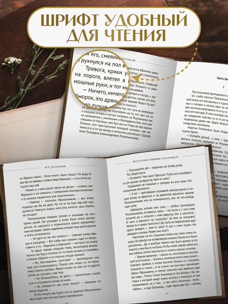 Книга Проф-Пресс Преступление и наказание. Ф. Достоевский 736 стр. - фото 3