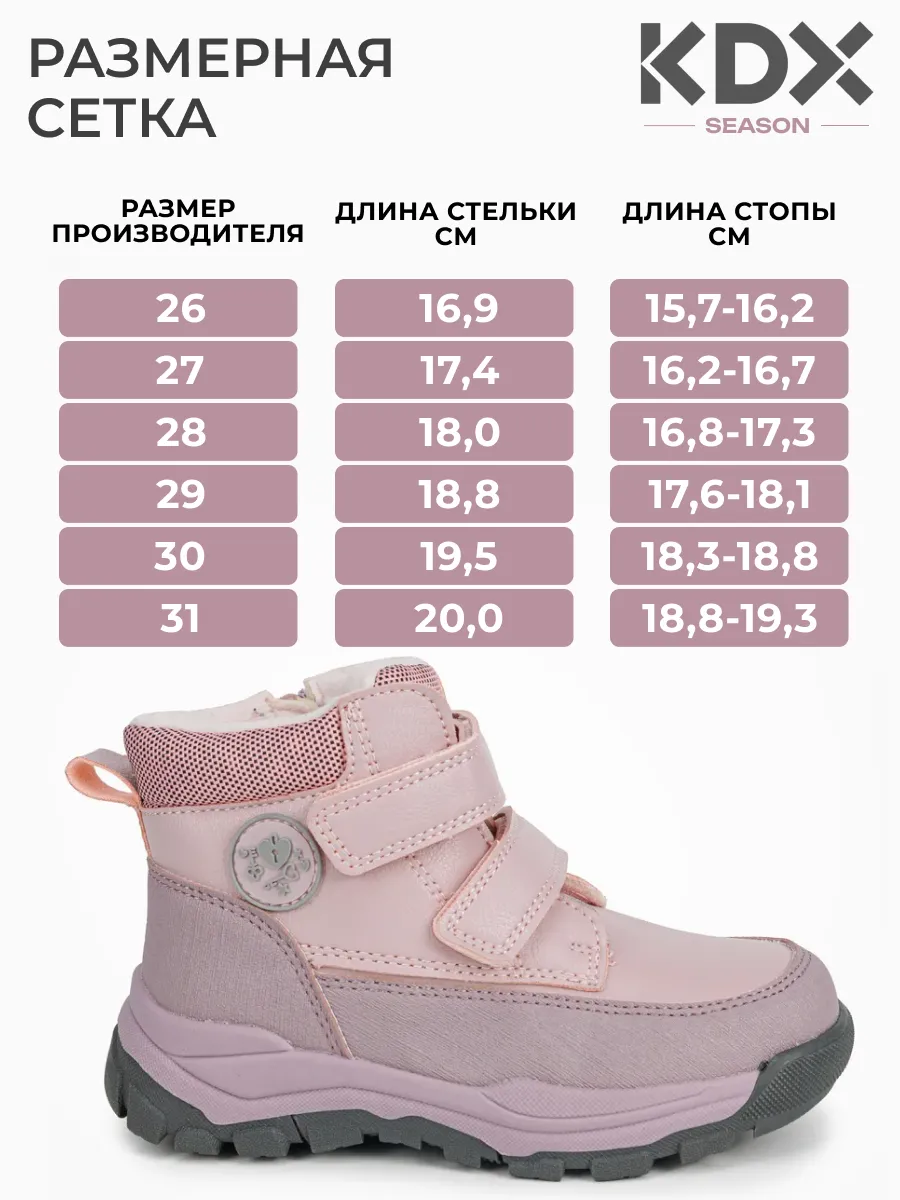 Ботинки KDX SZSS-04 lilac - фото 4