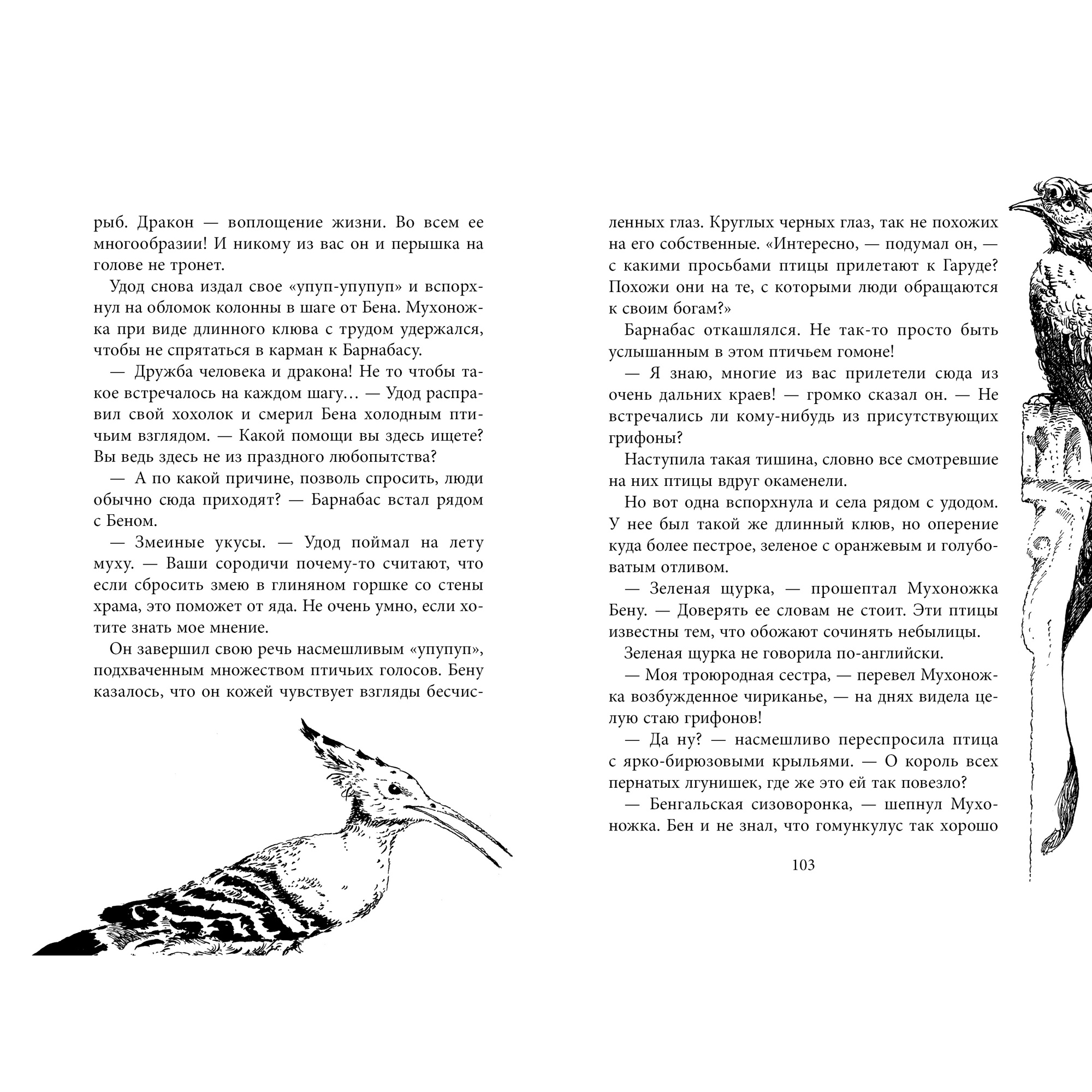 Книга АЗБУКА Повелитель драконов. Книга 2. Перо грифона Функе К. - фото 7