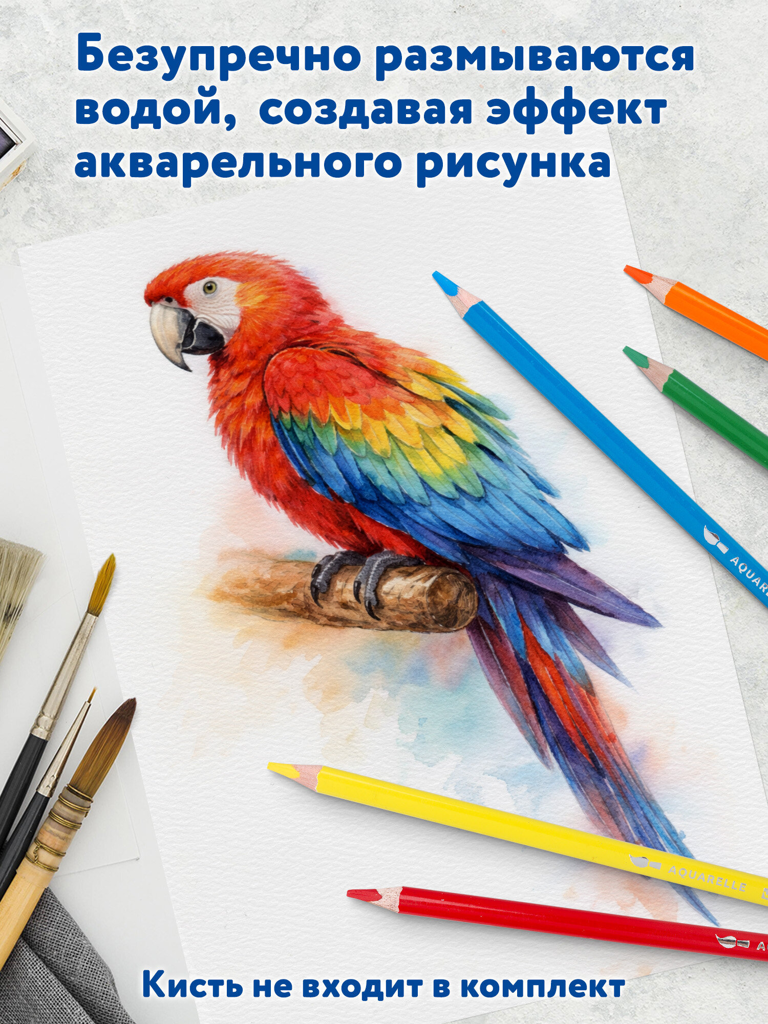 Карандаши акварельные Brauberg 36 шт. - фото 6