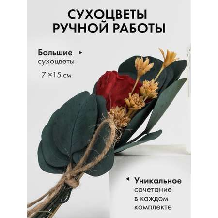 Диффузор с сухоцветами в Премиум тубусе Accents Cigar Citrus