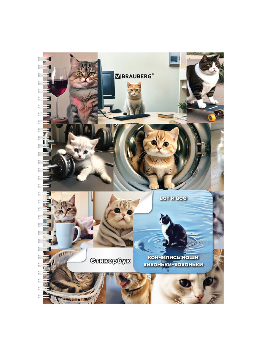 Наклейки Brauberg с котиками и мемами 96 шт. - фото 9