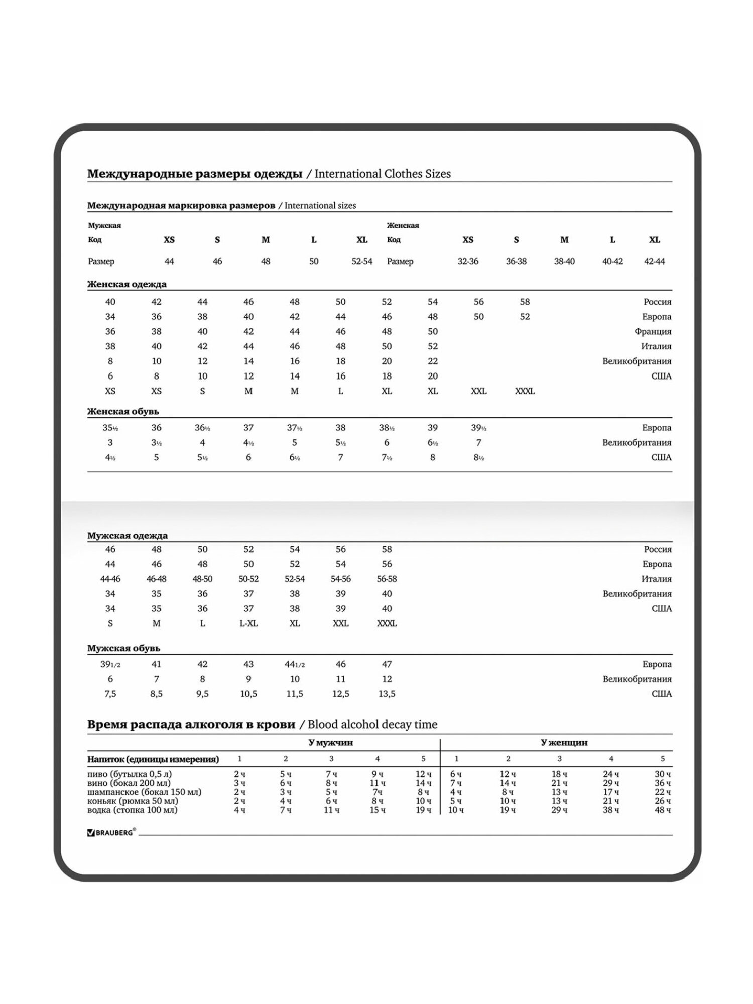 Блокнот Brauberg 64 лист. - фото 13