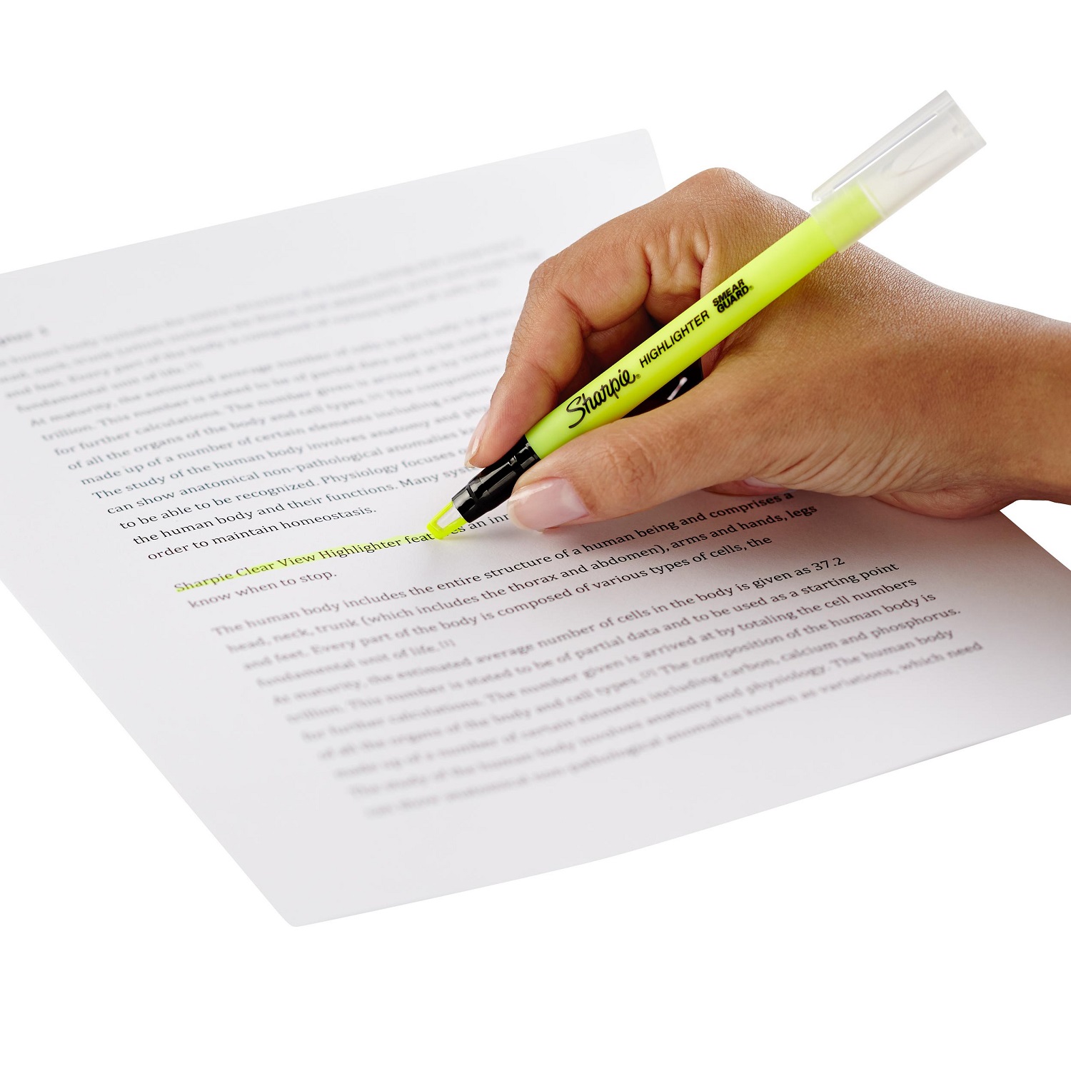 Текстовыделители PAPER MATE 4 цв. - фото 8