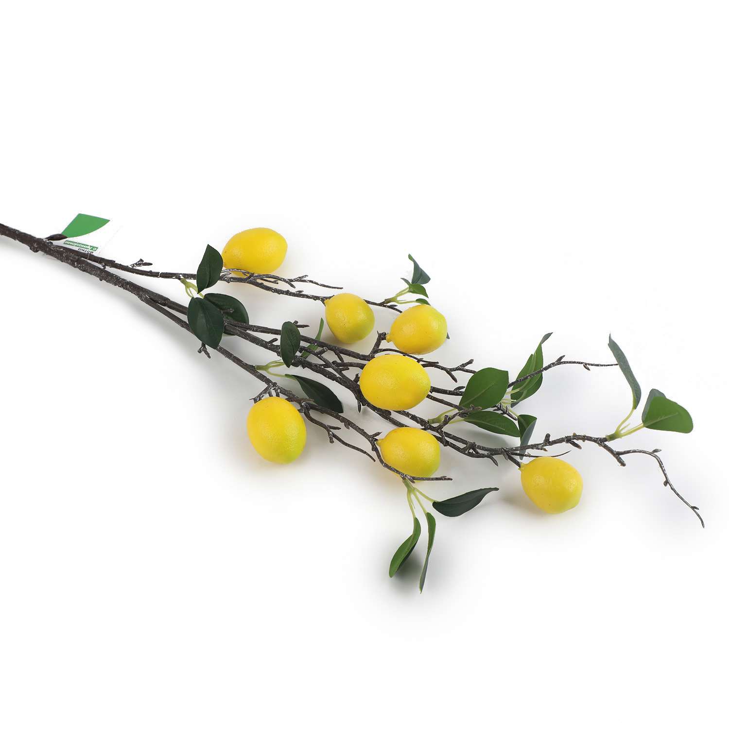 Ветка ё Лимоны - фото 2
