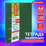 Тетрадь со сменным блоком Brauberg клетка 120 лист.