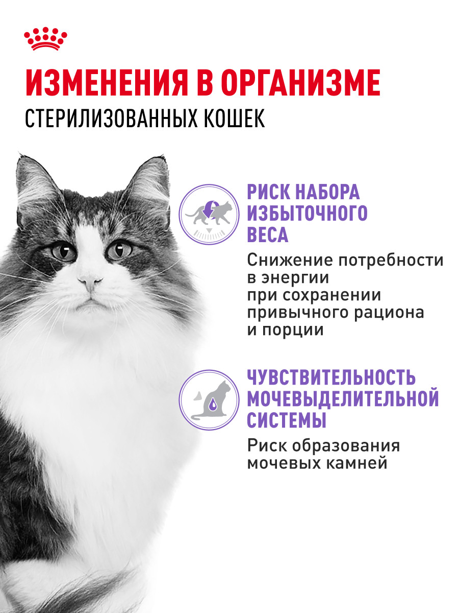 Корм для кошек ROYAL CANIN Indoor Sterilised для взрослых стерилизованных паштет 85г - фото 2