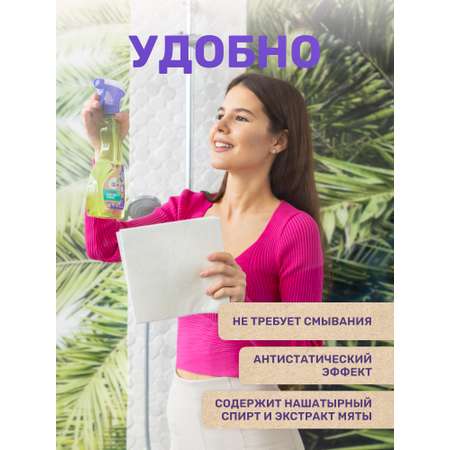 Средство для мытья стекол зеркал и фарфора Meine Liebe с нашатырным спиртом и ароматом мяты 500мл