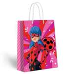 Пакет подарочный ND PLAY Леди Баг и Супер Кот 35*45см
