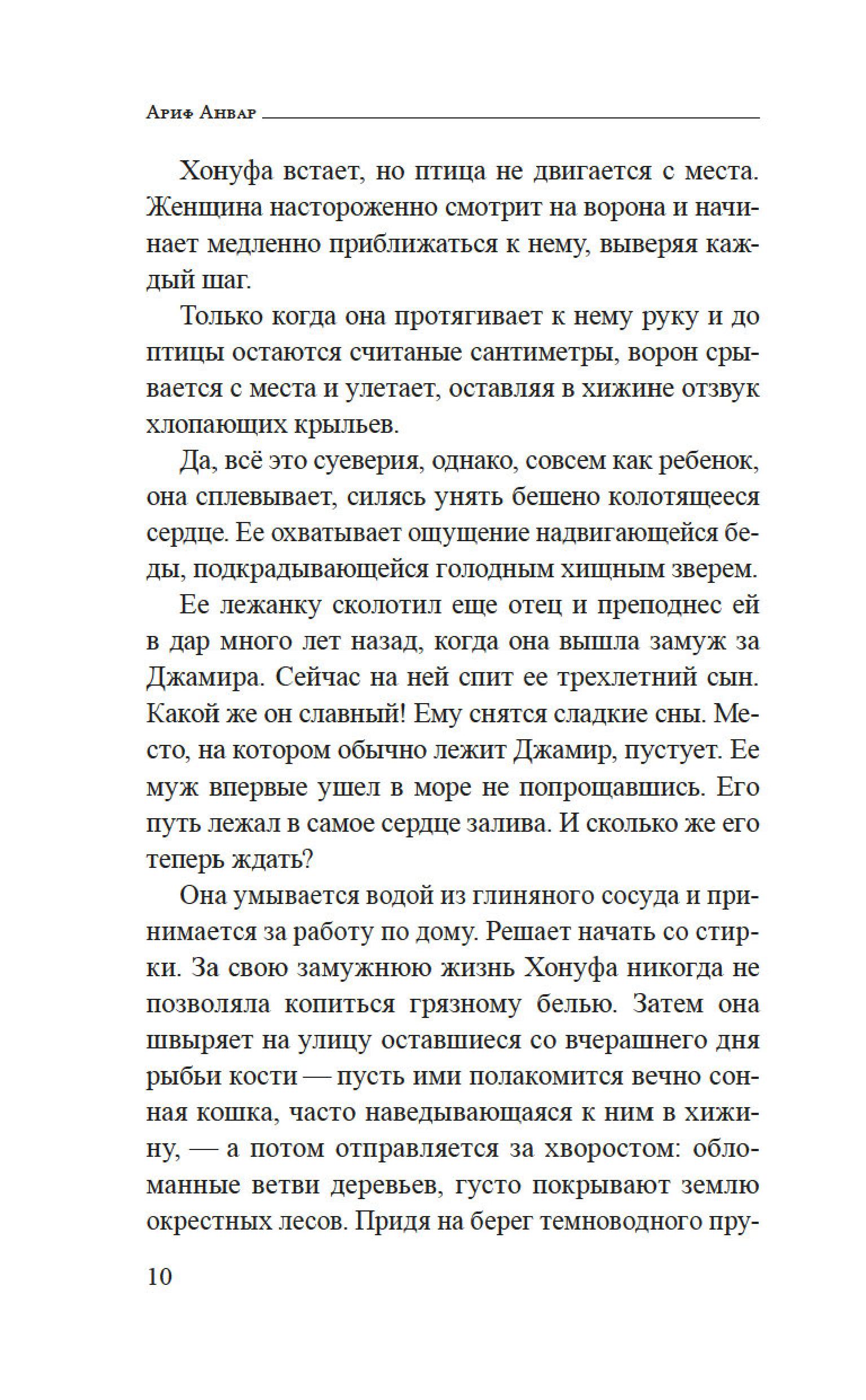 Книга Иностранка Ураган. - фото 10