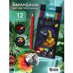 Карандаши цветные SCHOOLFORMAT 12 шт.
